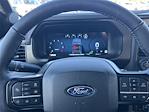 2025 Ford F-150 SuperCrew Cab 4WD Pickup for sale #SFC15753 - photo 24