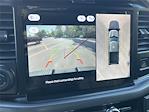 New 2025 Ford F-150 XLT SuperCrew Cab 4WD Pickup for sale #SFC18142 - photo 15