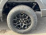 New 2025 Ford F-150 XLT SuperCrew Cab for sale #SFC22947 - photo 7