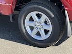 2025 Ford F-150 SuperCrew Cab 4WD Pickup for sale #SFC27659 - photo 8