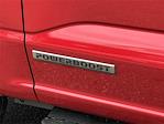 New 2025 Ford F-150 XLT SuperCrew Cab for sale #SFC51473 - photo 9