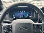 2025 Ford F-150 SuperCrew Cab 4WD Pickup for sale #SFC72063 - photo 24