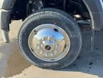 New 2026 Ford F-550 Regular Cab Cab Chassis for sale #TDA05646 - photo 8