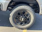 New 2026 Ford F-250 XLT Crew Cab 4WD Pickup for sale #TEC37578 - photo 9