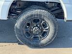 New 2026 Ford F-350 XL Regular Cab for sale #TED56442 - photo 10