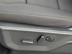 2026 Ford F-150 SuperCrew Cab 4WD Pickup for sale #TFA00583 - photo 11