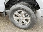 Used 2023 Ford F-150 XLT SuperCrew Cab for sale #U41156 - photo 5