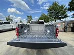 2024 Ram 2500 Crew Cab 4x4 Pickup for sale #266880X - photo 27