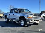 Used 2003 Dodge Dakota SLT 4x4 Pickup for sale #2LN454B - photo 11