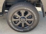 2024 Ram 2500 Crew Cab 4x4 Pickup for sale #361543X - photo 30