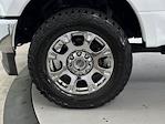 2020 Ford F-350 Crew Cab SRW 4x4 Pickup for sale #502894Y - photo 34