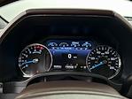 2020 Ford F-350 Crew Cab SRW 4x4 Pickup for sale #502894Y - photo 9