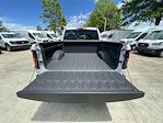 2025 Ram 1500 Crew Cab 4x4 Pickup for sale #540073X - photo 29