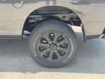 2025 Ram 2500 Crew Cab 4x4 Pickup for sale #578816 - photo 37