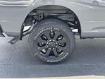 2025 Ram 2500 Crew Cab 4x4 Pickup for sale #583965 - photo 35