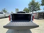 2025 Ram 1500 Crew Cab 4x4 Pickup for sale #653656X - photo 29