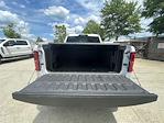 2025 Ram 1500 Crew Cab 4x4 Pickup for sale #682828X - photo 30