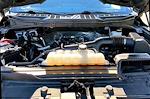 2023 Ford F-150 SuperCrew Cab 4WD Pickup for sale #7LN2577 - photo 36