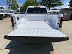 2025 Ram 1500 Crew Cab 4x4 Pickup for sale #F26691 - photo 21