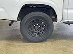 2019 Toyota Tacoma Double Cab RWD Pickup for sale #2GA1233A - photo 12