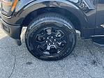 2024 Ford F-150 SuperCrew Cab 4WD Pickup for sale #569985A - photo 10