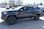 New 2025 Chevrolet Colorado Work Truck Crew Cab Pickup for sale #25249 - photo 1