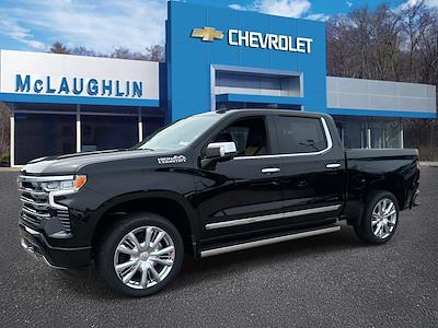 2025 Chevrolet Silverado 1500 Crew Cab 4x4 Pickup for sale #25620 - photo 1