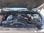 2024 Chevrolet Silverado 3500 Crew Cab 4WD Pickup for sale #N3673A - photo 23
