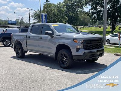 2024 Chevrolet Silverado 1500 Crew Cab 4WD Pickup for sale #P1208 - photo 1