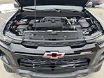 2024 Chevrolet Colorado Crew Cab 4WD Pickup for sale #P1347 - photo 19