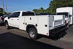 2025 GMC Sierra 3500 Crew Cab DRW 4x4 Cab Chassis for sale #F25637 - photo 3