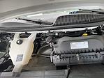 2019 Chevrolet Express 3500 SRW RWD Passenger Van for sale #111353 - photo 27