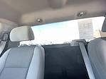 2019 Ford F-150 Regular Cab 4WD Pickup for sale #251092B - photo 18