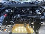 2019 Ford F-150 Regular Cab 4WD Pickup for sale #251092B - photo 25