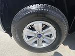 2019 Ford F-150 Regular Cab 4WD Pickup for sale #251092B - photo 28