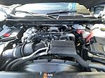2024 Chevrolet Silverado 3500 Crew Cab 4WD Pickup for sale #251227A - photo 31
