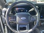 2024 Ford F-350 Crew Cab SRW 4WD Pickup for sale #251595B - photo 10