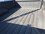 2025 Ram 3500 Crew Cab DRW 4x4 Pickup for sale #6550299 - photo 11