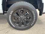 2025 Ram 2500 Crew Cab 4x4 Pickup for sale #J59666 - photo 16