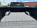 2025 Chevrolet Silverado 3500 Crew Cab 4WD Pickup for sale #WS0751 - photo 8