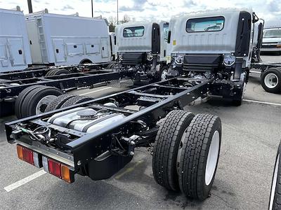 New 2024 Chevrolet LCF 5500HG Regular Cab Cab Chassis for sale #F1676 - photo 2