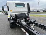 New 2024 Chevrolet LCF 3500 Regular Cab 4x2 Cab Chassis for sale #F1732 - photo 12