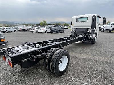 2024 Chevrolet LCF 3500HG Regular Cab 4x2, Cab Chassis for sale #F1734 - photo 2