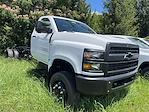 2024 Chevrolet Silverado 5500 Regular Cab DRW 4x4, Cab Chassis for sale #F1869 - photo 1