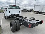 2024 Chevrolet Silverado 5500 Regular Cab DRW 4x4, Cab Chassis for sale #F1925 - photo 11