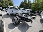 2024 Chevrolet Silverado 3500 Regular Cab 4x2, Cab Chassis for sale #F2058 - photo 14