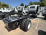 2025 Chevrolet LCF 3500 Regular Cab 4x2, Cab Chassis for sale #F2136 - photo 2