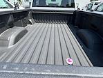 2024 Chevrolet Silverado 3500 Regular Cab 4x4, Pickup for sale #F2164 - photo 13