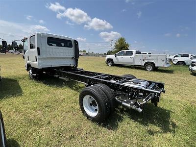 New 2025 Chevrolet LCF 3500 Crew Cab 4x2 Cab Chassis for sale #F2208 - photo 2