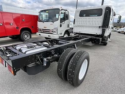 New 2025 Chevrolet LCF 3500 Crew Cab 4x2 Cab Chassis for sale #F2271 - photo 2